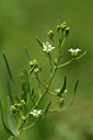 BUITEN BEELD Foto: 137632