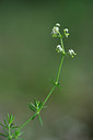 BUITEN BEELD Foto: 137637