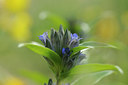 BUITEN BEELD Foto: 137642