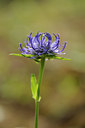 BUITEN BEELD Foto: 137645