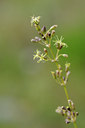 BUITEN BEELD Foto: 137650