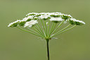 BUITEN BEELD Foto: 137655