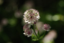 BUITEN BEELD Foto: 137660