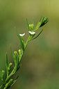 BUITEN BEELD Foto: 137662