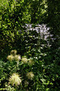BUITEN BEELD Foto: 137673