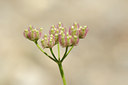 BUITEN BEELD Foto: 137680