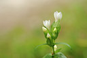 BUITEN BEELD Foto: 137682