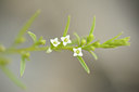 BUITEN BEELD Foto: 137695