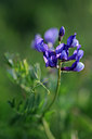 BUITEN BEELD Foto: 137696