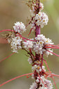 BUITEN BEELD Foto: 137700