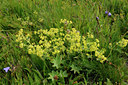 BUITEN BEELD Foto: 137727