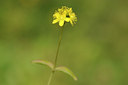 BUITEN BEELD Foto: 137738
