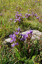 BUITEN BEELD Foto: 137739