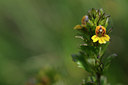 BUITEN BEELD Foto: 137741