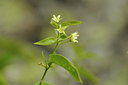 BUITEN BEELD Foto: 137744