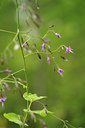 BUITEN BEELD Foto: 137756