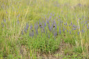 BUITEN BEELD Foto: 137784