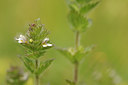 BUITEN BEELD Foto: 137785