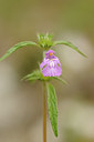 BUITEN BEELD Foto: 137787