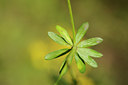 BUITEN BEELD Foto: 137799