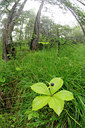 BUITEN BEELD Foto: 137821