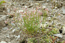 BUITEN BEELD Foto: 137824
