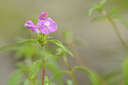 BUITEN BEELD Foto: 137830