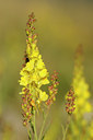 BUITEN BEELD Foto: 137847