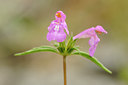 BUITEN BEELD Foto: 137853