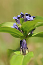 BUITEN BEELD Foto: 137859