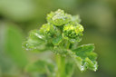 BUITEN BEELD Foto: 137890