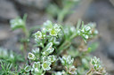 BUITEN BEELD Foto: 137905