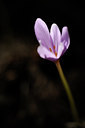 BUITEN BEELD Foto: 137941