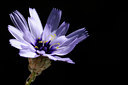 BUITEN BEELD Foto: 137953