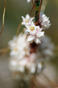 BUITEN BEELD Foto: 137957