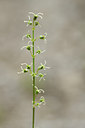 BUITEN BEELD Foto: 137971