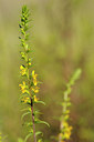 BUITEN BEELD Foto: 137995