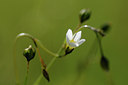 BUITEN BEELD Foto: 138017