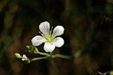 BUITEN BEELD Foto: 138029