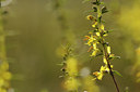 BUITEN BEELD Foto: 138034