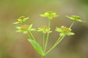 BUITEN BEELD Foto: 138036
