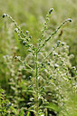 BUITEN BEELD Foto: 138054