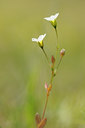 BUITEN BEELD Foto: 138061