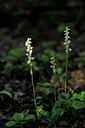 BUITEN BEELD Foto: 138077