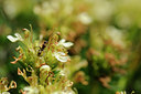 BUITEN BEELD Foto: 138107