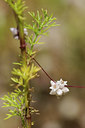 BUITEN BEELD Foto: 138134
