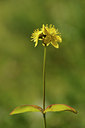 BUITEN BEELD Foto: 138151