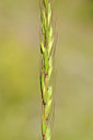 BUITEN BEELD Foto: 138153