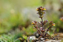 BUITEN BEELD Foto: 138164