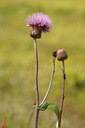 BUITEN BEELD Foto: 138171